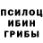 Галлюциногенные грибы мицелий Olga Ticalova