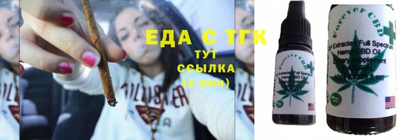 шишки Тавда