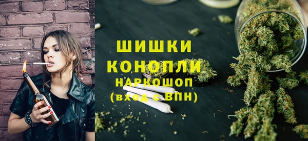 шишки Тавда
