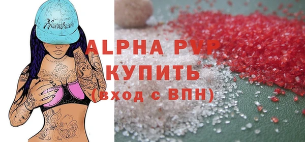 амф Белокуриха