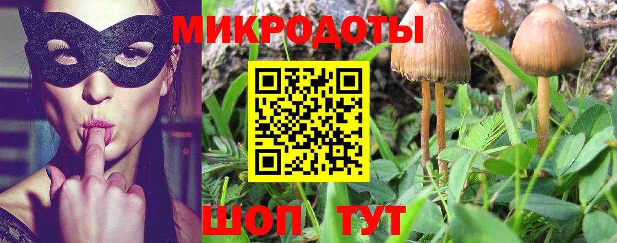 Галлюциногенные грибы Psilocybe Воркута
