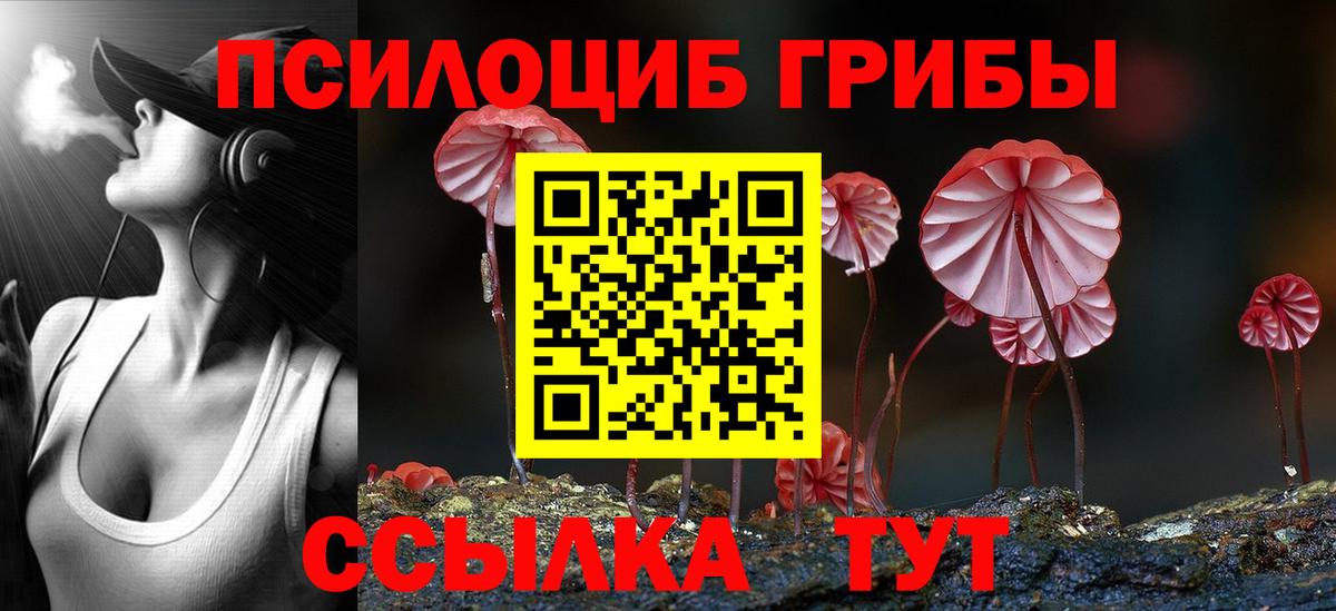Псилоцибиновые грибы MAGIC MUSHROOMS  купить  сайты  Воркута  Псилоцибиновые грибы MAGIC MUSHROOMS  Вход с VPN 