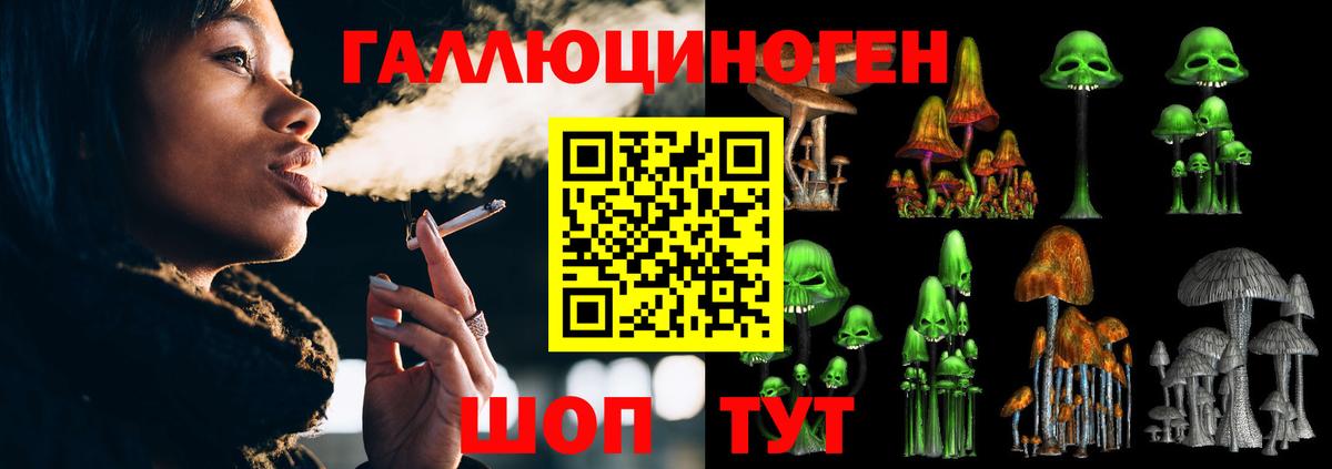 Галлюциногенные грибы ЛСД  Воркута  Псилоцибиновые грибы Psilocybe 